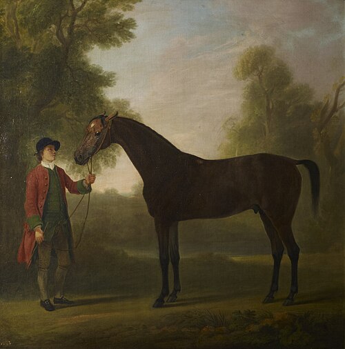 Portrait of a horse, 1762, Sawrey Gilpin