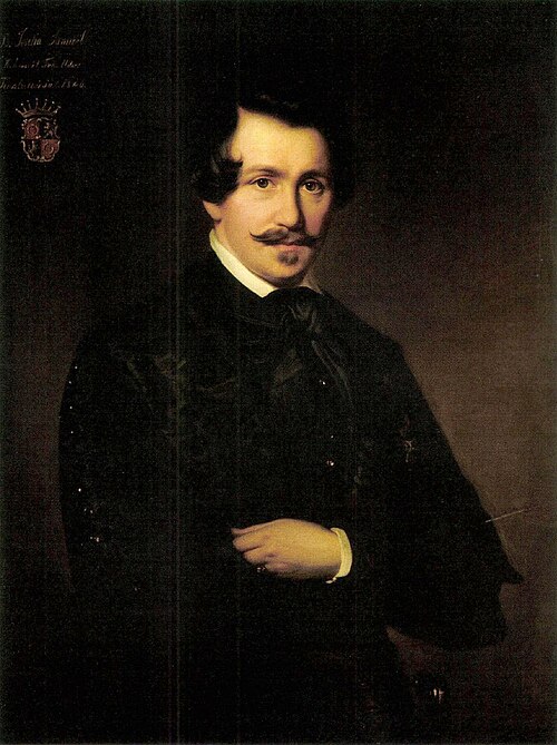 Portrait of Sámuel Jósika, 1846, József Borsos