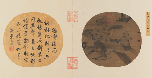 赵佶枇杷山鸟图页, , Song Huizong