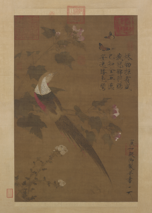 赵佶芙蓉锦鸡图轴, , Song Huizong