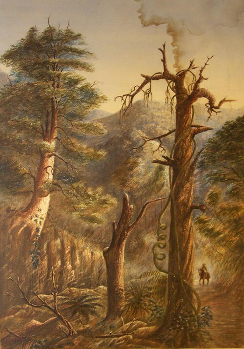 Bush Scene, , Francis Edward Nairn