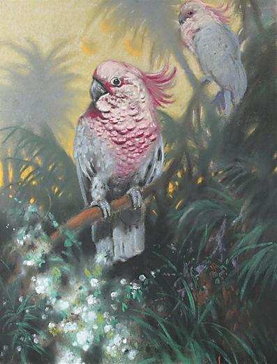 Zwei Kakadus, , August Holmberg