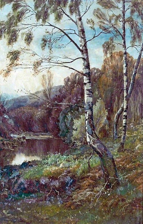 Birch Wood in the Lledr Valley, , James Elliott