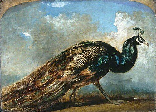 Study of a Peacock, , William Etty