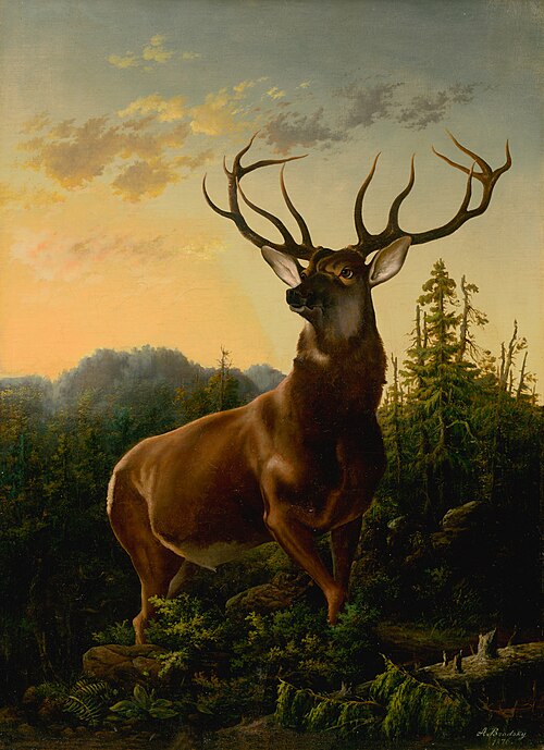 Deer in Forest Landscape, 1876, Sándor Brodszky