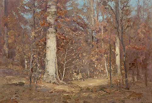 Paysage, 1909, Theodore Clement Steele