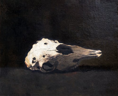 Crâne de mouton, , Augustin Théodule Ribot
