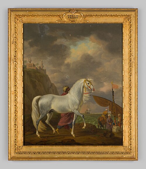 Arabisch paard, 1787, Tethart Philip Christian Haag