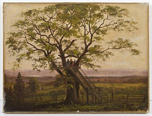 Vista from a Tree Platform, 1870, Albert Bierstadt
