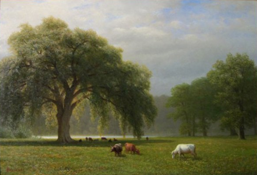 Weeping Oaks, Clear Creek, California, , Albert Bierstadt