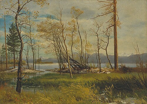 Le lac Tahoe, 1872, Albert Bierstadt