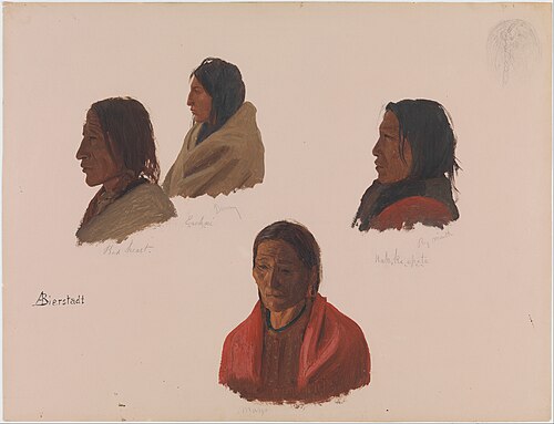 Studies of Indian Chiefs Made at Fort Laramie, 1850, Albert Bierstadt