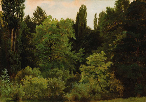 Deep in the Rockies, , Albert Bierstadt