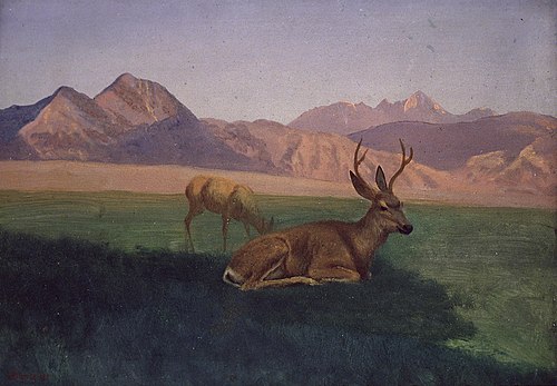 Deer, , Albert Bierstadt