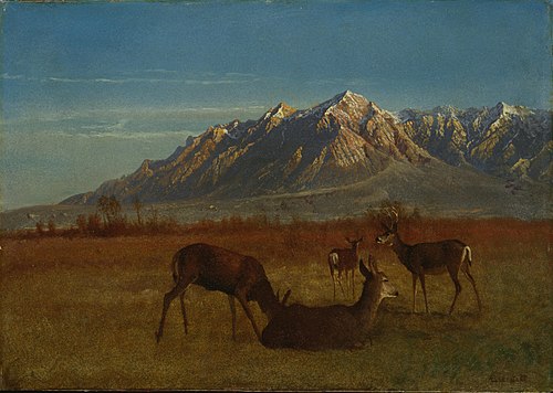 Deer in Mountain Home, 1879, Albert Bierstadt