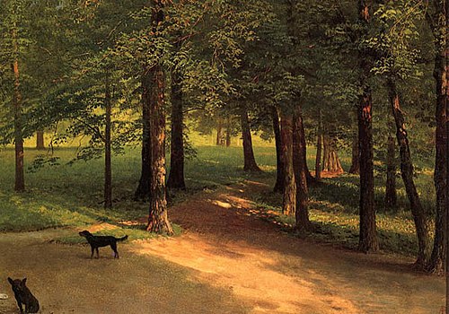 Irvington Woods, 1850, Albert Bierstadt