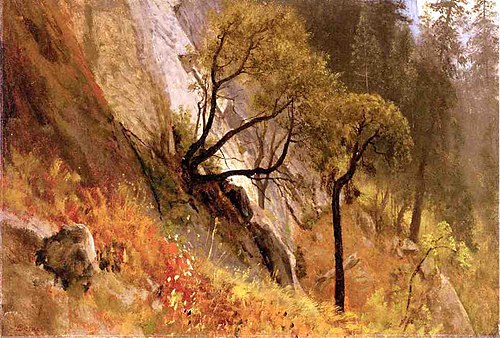 Landscape Study, Yosemite, California, 1850, Albert Bierstadt