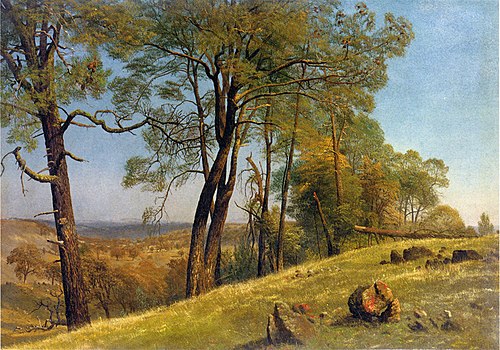Landscape, Rockland County, California, 1872, Albert Bierstadt