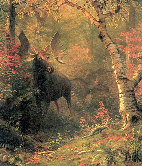 Moose in a Forest Glen, 1885, Albert Bierstadt