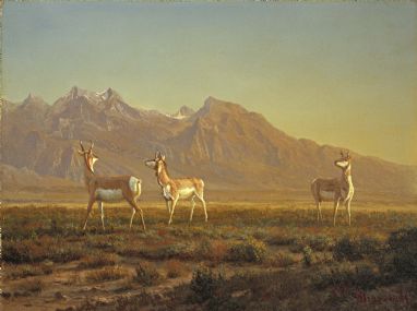Prong-Horned Antelope with the Grand Tetons Beyond, 1850, Albert Bierstadt