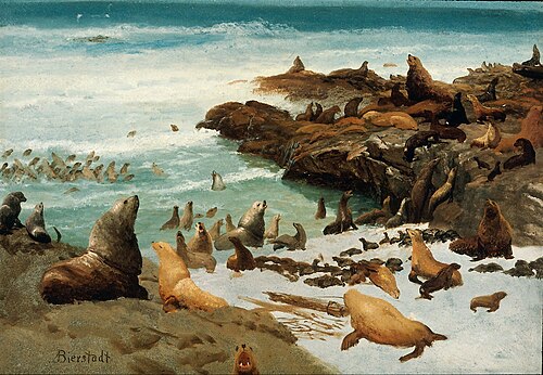Seal Rocks, Farallons, 1872, Albert Bierstadt