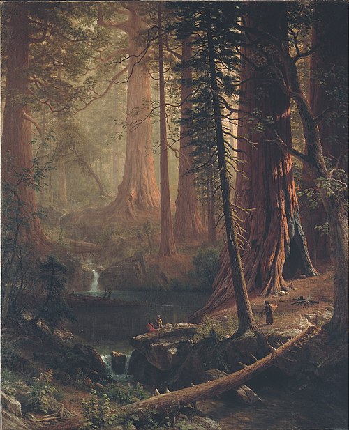 Giant Redwood Trees of California, 1874, Albert Bierstadt