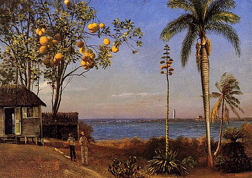 A View in the Bahamas, Oil on paper laid down on boa, 48.58 x 35.24 cm, 1850, Albert Bierstadt