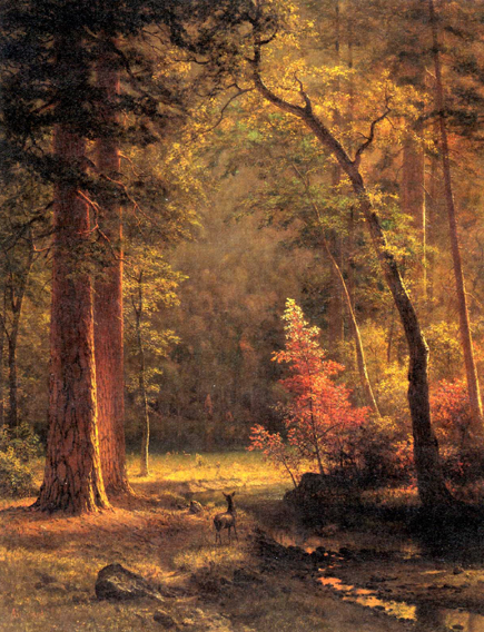 Dogwood, 1875, Albert Bierstadt