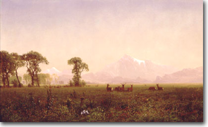 Elk Grazing in the Wind River Country, 1861, Albert Bierstadt