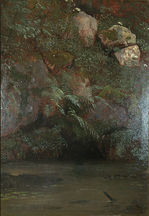 Ferns and Rocks on an Embankment, 1869, Albert Bierstadt