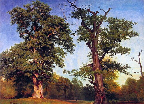 Pioneers of the Woods, 1850, Albert Bierstadt