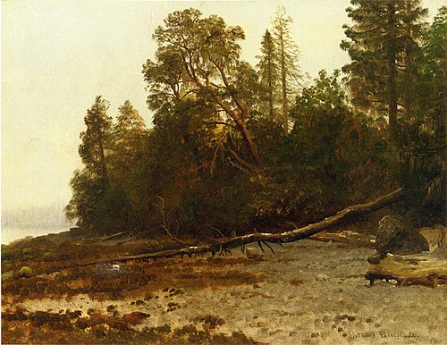 The Fallen Tree, 1850, Albert Bierstadt