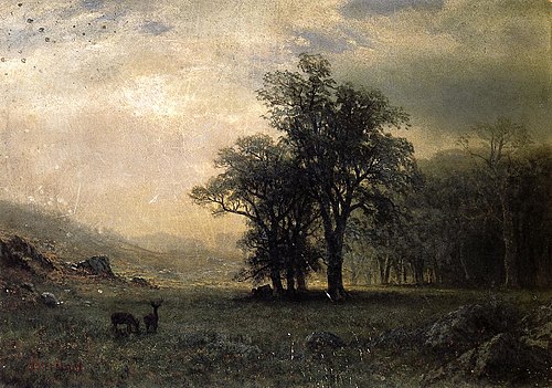 The Open Glen, New England, 1875, Albert Bierstadt