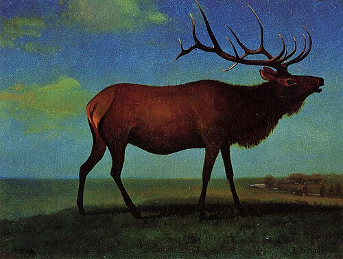 Bull Elk, 1850, Albert Bierstadt
