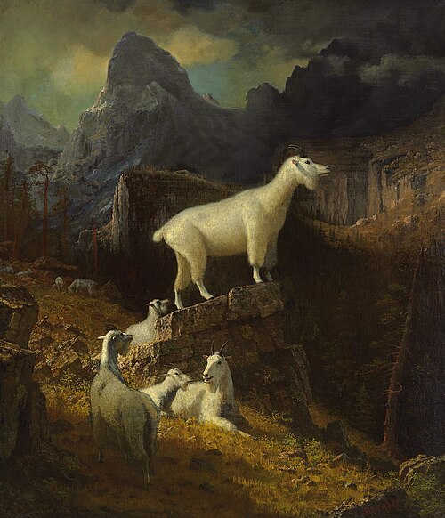 Rocky Mountain Goats, 1885, Albert Bierstadt