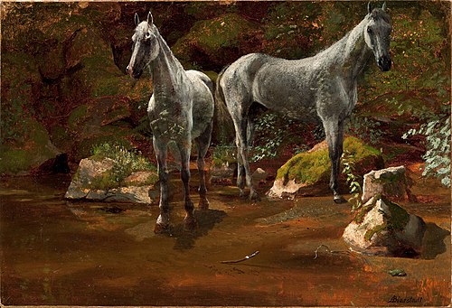 Study of Wild Horses, , Albert Bierstadt