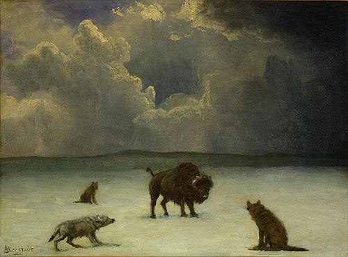 Trapped, 1850, Albert Bierstadt