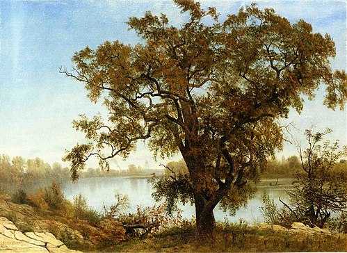 A View from Sacramento, 1875, Albert Bierstadt
