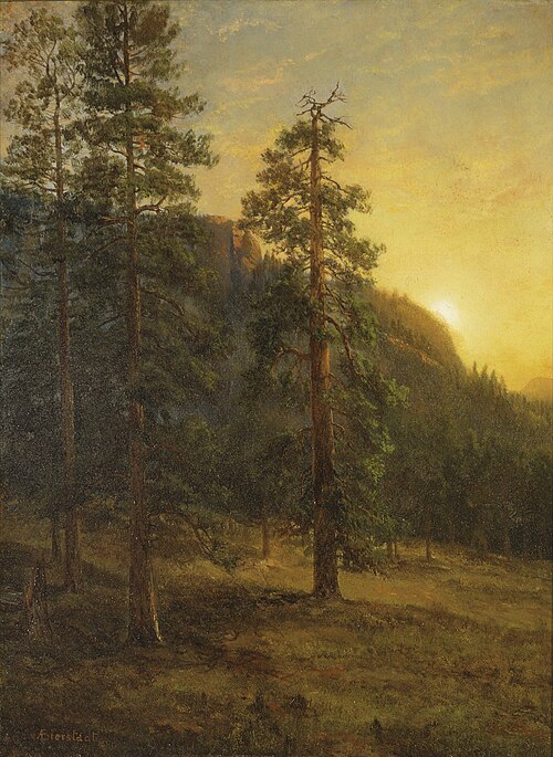 California Redwoods, 1872, Albert Bierstadt