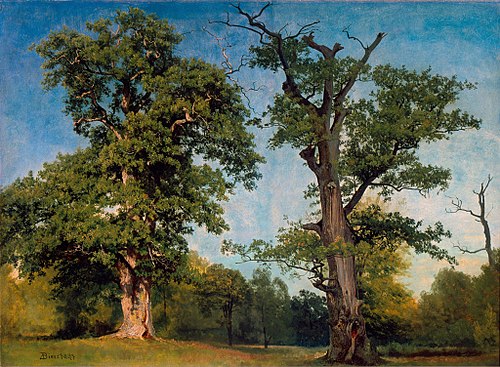 Pioneers of the Woods, California, 1863, Albert Bierstadt