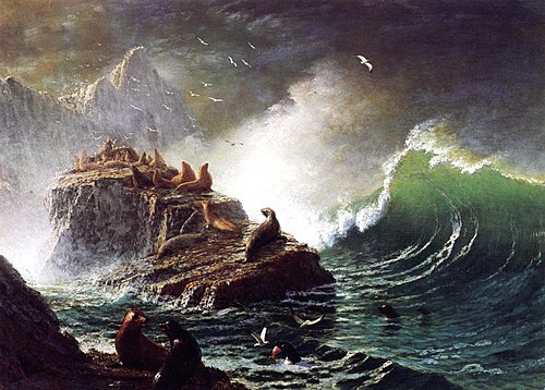 Seals on the Rocks, Farallon Islands, 1872, Albert Bierstadt