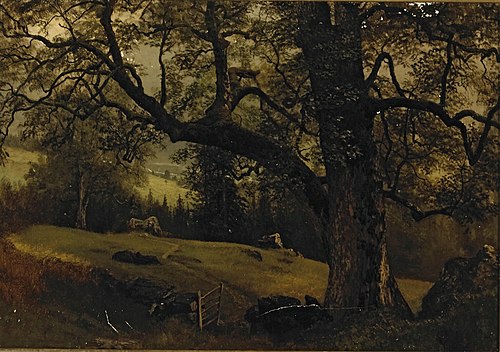A Trail Through the Trees, 1850, Albert Bierstadt