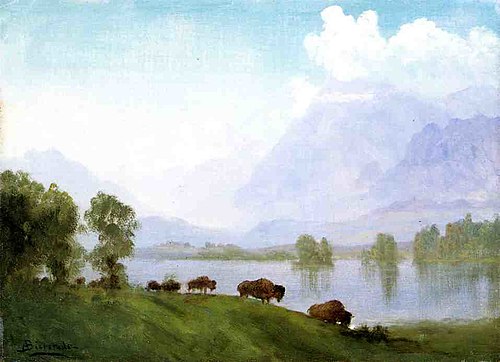 Buffalo Country, 1850, Albert Bierstadt