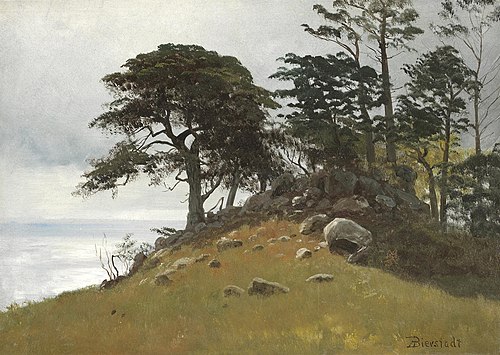Cypress Point, Monterey, 1850, Albert Bierstadt