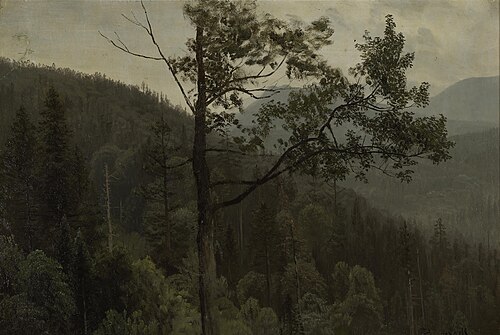 Tree Covered Mountains, 1850, Albert Bierstadt