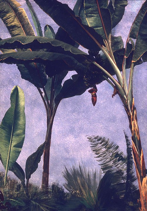 Banana Trees, , Albert Bierstadt
