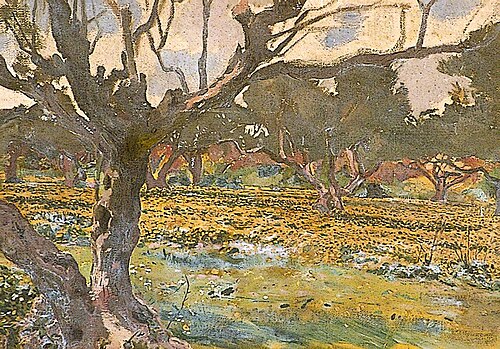 Olive Tree and Gardens of La Marsa, Tunis, , Harry Johnston