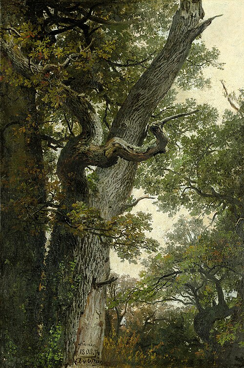 Knorrige Eiche bei Namur, 1950, Anton von Werner