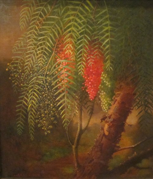 California Pepper Tree, 1870, Edward Edmondson