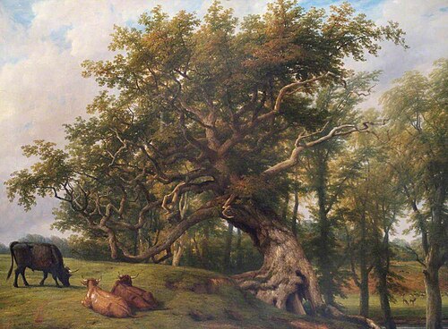 Old Oak, Stoneleigh Park, Warwickshire, 1860, Thomas Baker